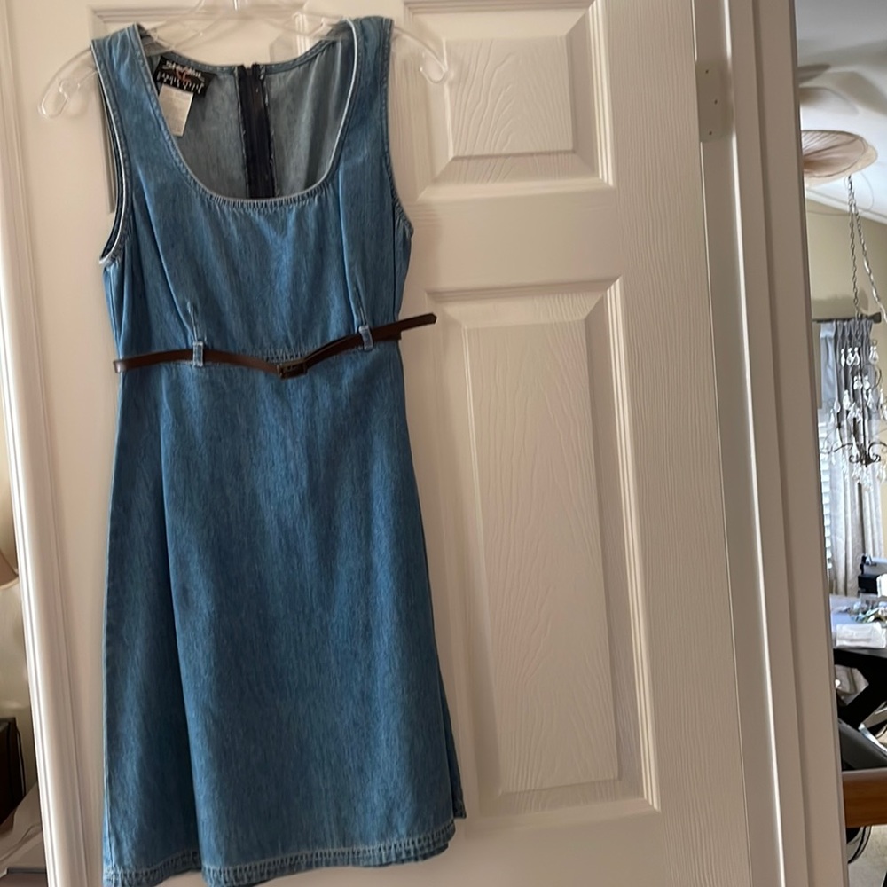Carol Little denim dress / jumper